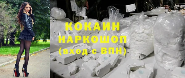 винт Богданович