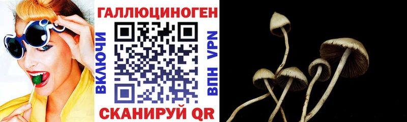 Псилоцибиновые грибы прущие грибы  Кизилюрт 