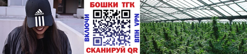 где купить   Кизилюрт  Бошки Шишки марихуана 